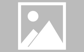茌平网页设计英文默认字体（网页设置英文转换中文）